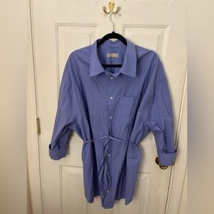 Everlane Casual Button Down Shirt in Light Blue